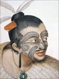 Head and shoulders portrait of a Māori man, his hair in a topknot with feathers and a bone comb, full facial moko, a greenstone earring, a tiki and a flax cloak. He has a small beard and a moustache. Sydney Parkinson (1745-1771) was the artist on Captain Cook's first voyage to New Zealand in 1769.<br/><br/>

Tā moko is the permanent body and face marking by Māori, the indigenous people of New Zealand. Traditionally it is distinct from tattoo and tatau in that the skin was carved by uhi (chisels) rather than punctured. This left the skin with grooves, rather than a smooth surface. Captain Cook wrote in 1769: 'The marks in general are spirals drawn with great nicety and even elegance. One side corresponds with the other. The marks on the body resemble foliage in old chased ornaments, convolutions of filigree work, but in these they have such a luxury of forms that of a hundred which at first appeared exactly the same no two were formed alike on close examination'. The tattooists were considered tapu, or exceptionally inviolable and sacred.
