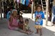 Thailand: Grandmother and children, Moken (Sea Gypsy) Village, Ko Surin Tai, Surin Islands Marine National Park