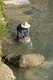 China: Washing a bufalo next to the Miao village of Langde Shang, southeast of Kaili, Guizhou Province